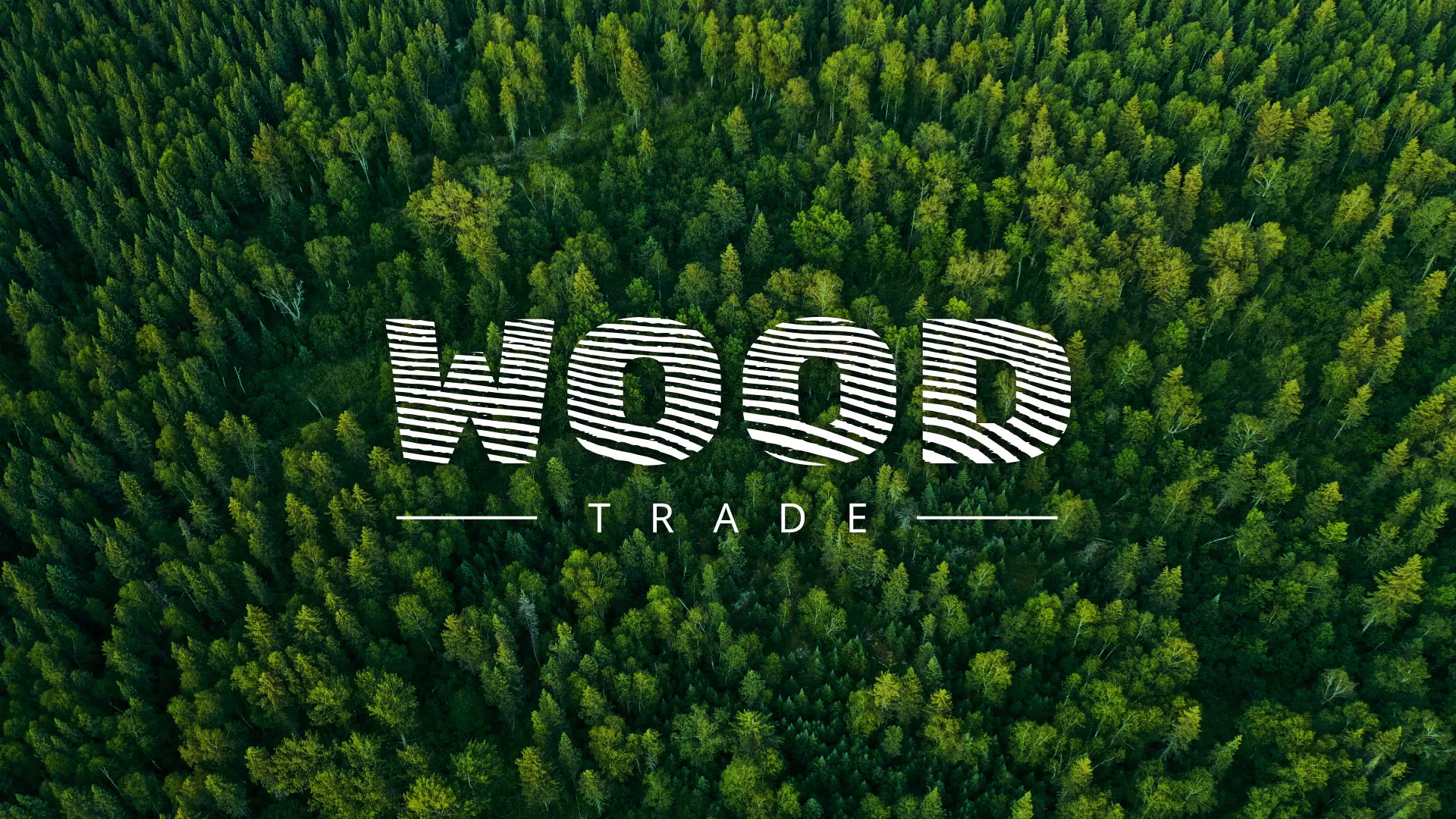 Разработка интернет-магазина компании «Wood Trade» в Острогожске